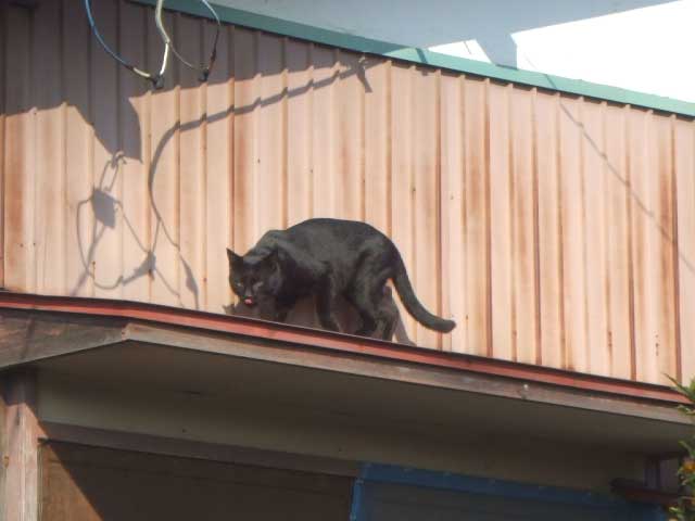 �������I