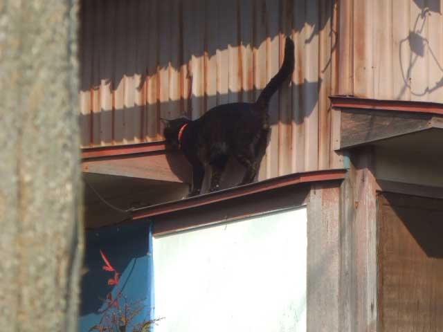 �G�b�w���I