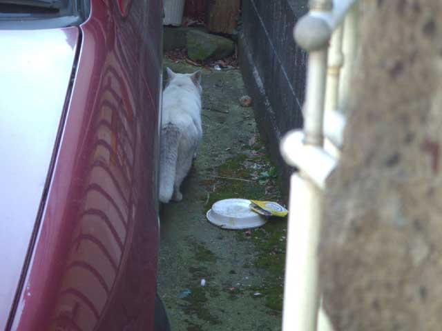 ���������I