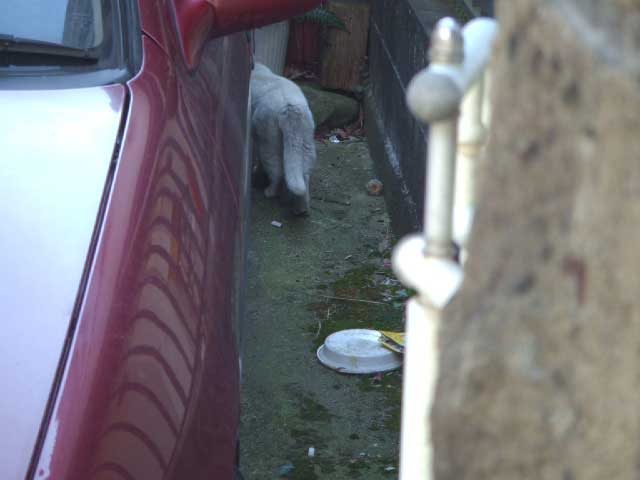 �����ȁ`�I