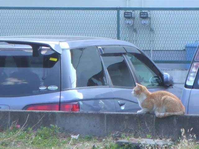 �����ˁ`�I