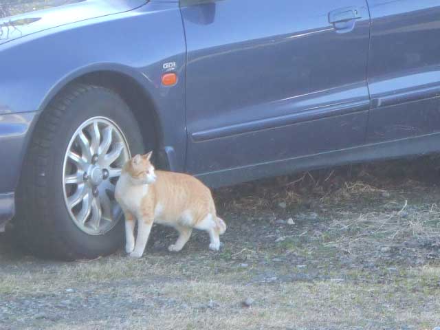 �N�ł��傤�ˁ`