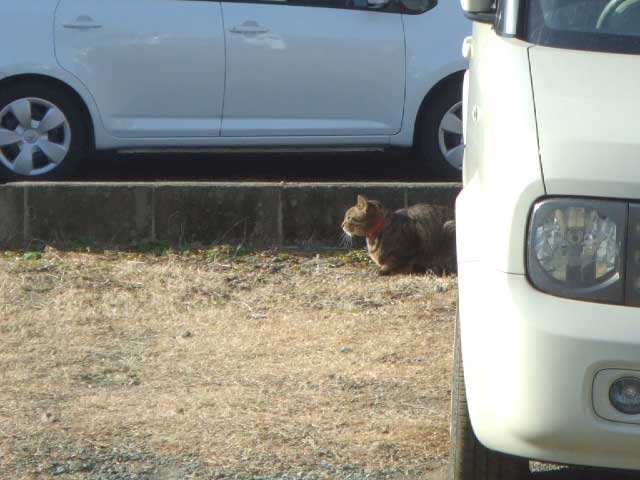 �����ł��Ȃ��ł�