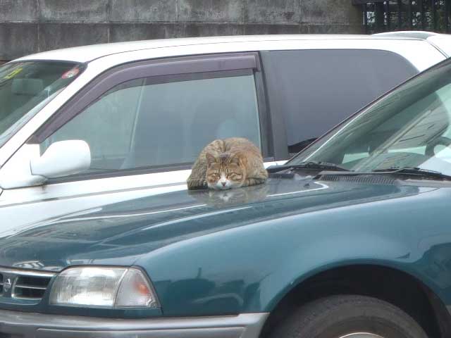 �����ˁ`�@�n�����g�����ȁ`