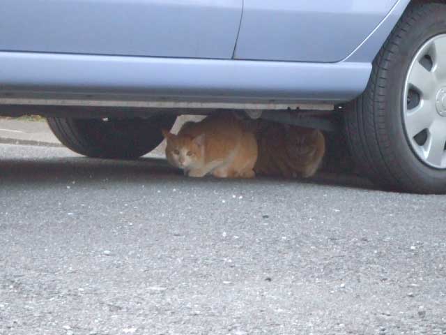 ��������������`