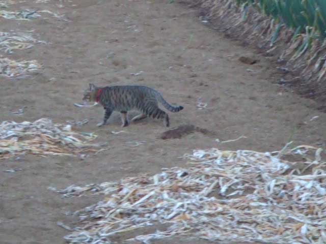 �C���ł���I