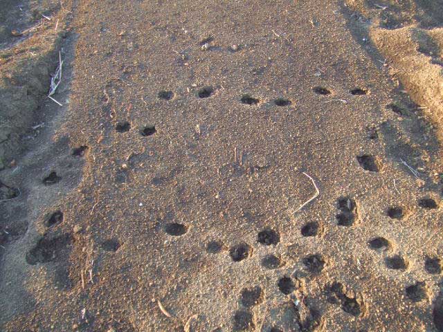 �W�^�o�^�@�W�^�o�^�I