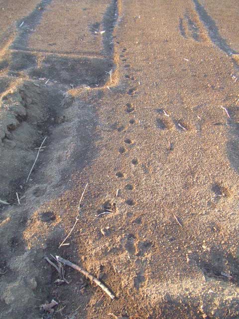 �Y�{�b�@�Y�{�b�@�Y�{�b�I