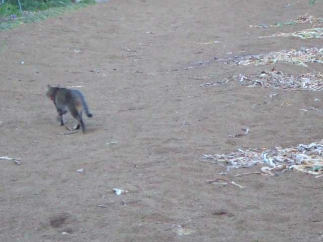 �C���ł���`