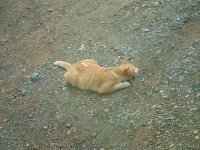 �X�˂��Ⴄ���`