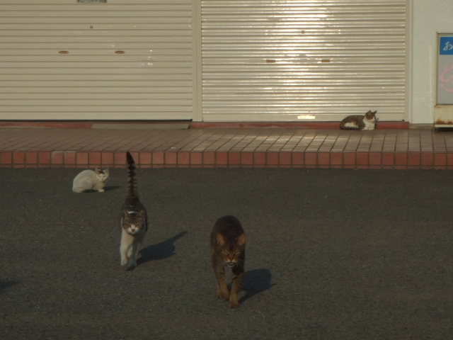 ���������@�����Ă��邶��˂�����`