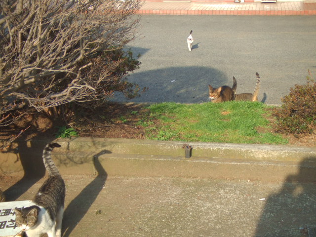 �������@�P�`�I