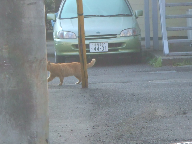 �u�Ԉړ��̏p�I�I