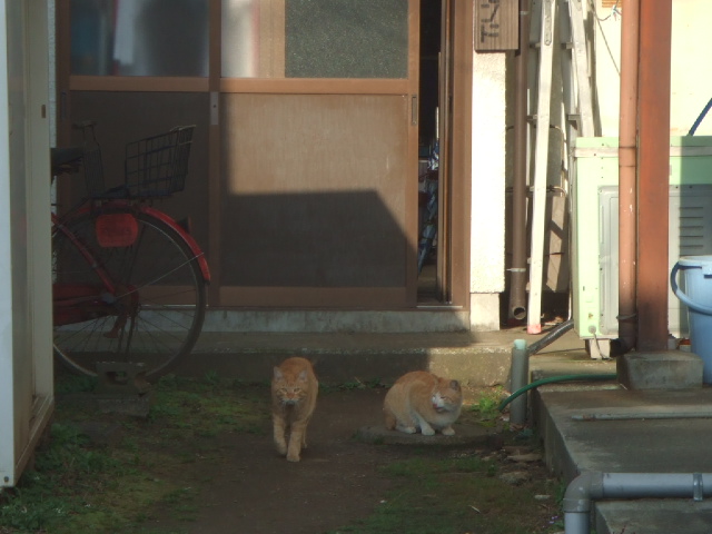 �E���@�~�����́I