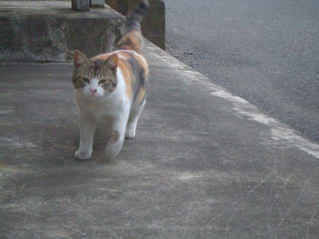 �����A��́`