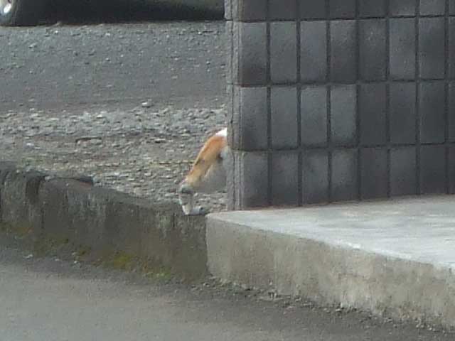 ���`�ĂƁ@�����͉����֍s�������ȁ`�`