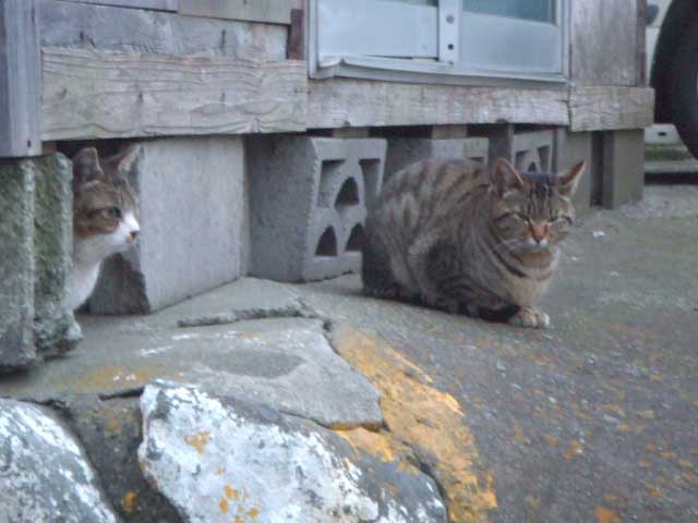 �E���@���邳���ȁ`