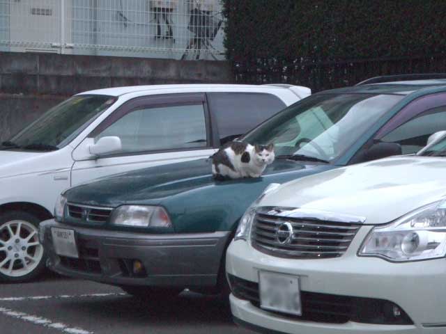 �����Ł`���I�@�����ҏ����Ł`��