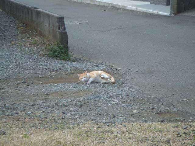 �����I�@�₾��`��I