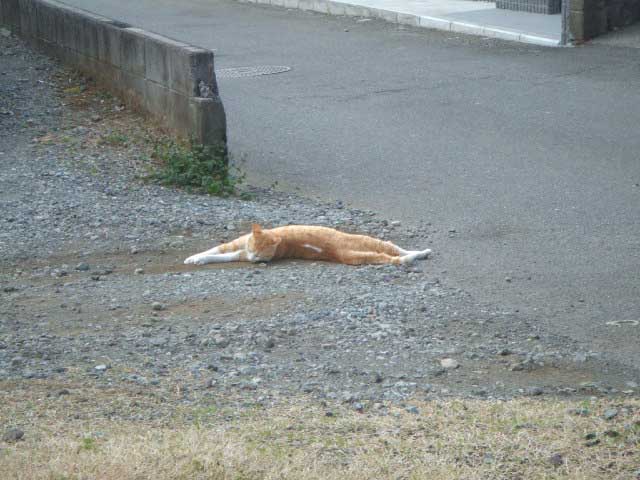 �A�����b�g�@�A�u�ˁ`