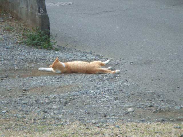 �z�C�I�@�z�C�I�@�`�����C�I�@�`�����C�I