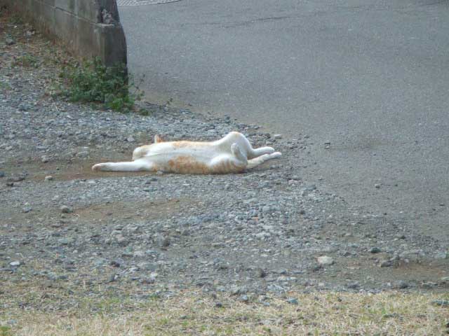 �E�`�`�`�`�`���ꂽ�`�@�A�`�`�`