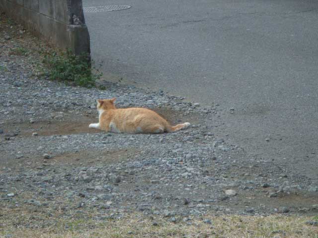 ����Ȗ�Ȃ�����A�@�n�@�`�I