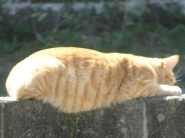 �����@�B��Ȃ���`�I�@���Ȃ��͋C���������`�B