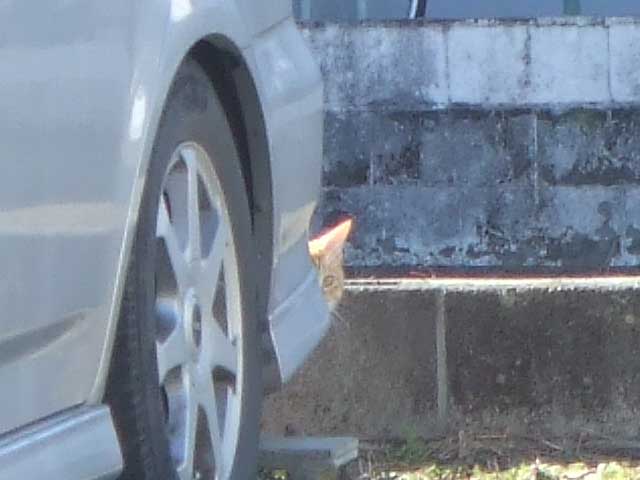 ���������`�I