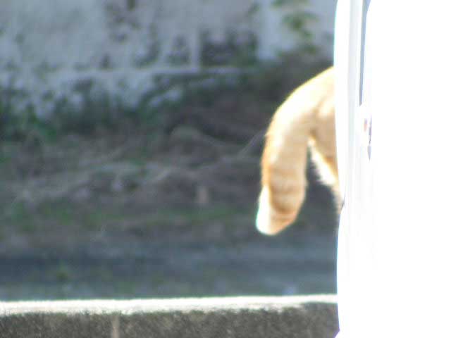 �܂��@���������`