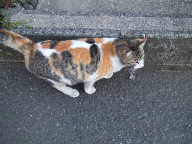 �܂��@�������ǂˁ`