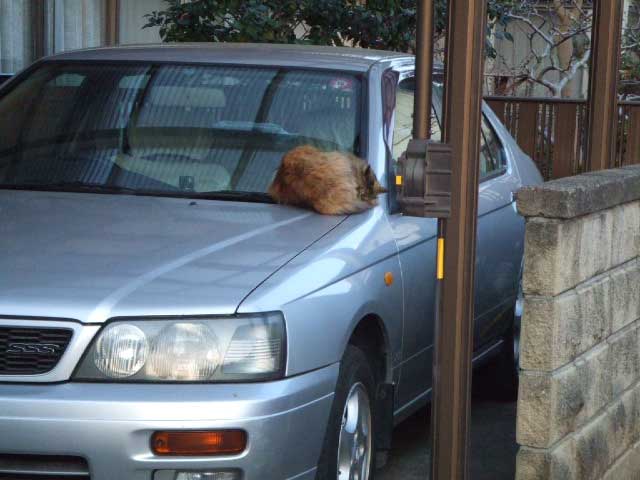 ���������������`�`�`�`