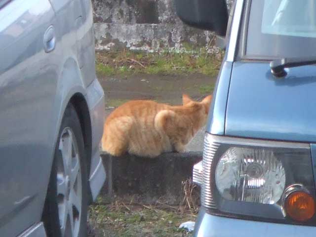 �͂��I�@���C�ɓ���̏ꏊ�ł��B