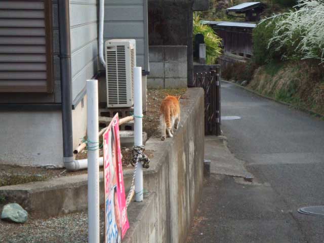 �ʔ������Ƃˁ`