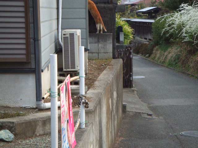 �悢����I�@���ꂭ�炢�������͎v�����܂����