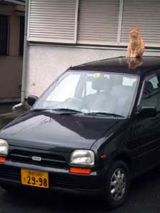 �����ł���I