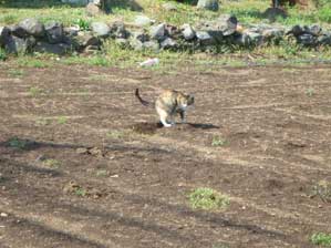 ���������`��