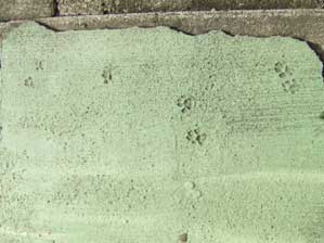 �e�P�@�e�P�@�e�P�I