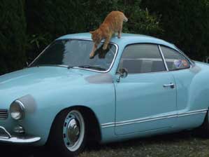 �����`�@����ȁ`