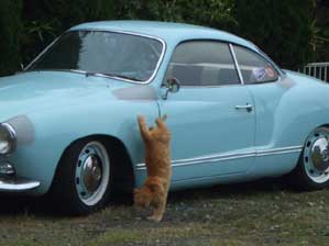 ������ƁI