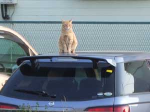 �Ԃ̏�͒��߂������`��