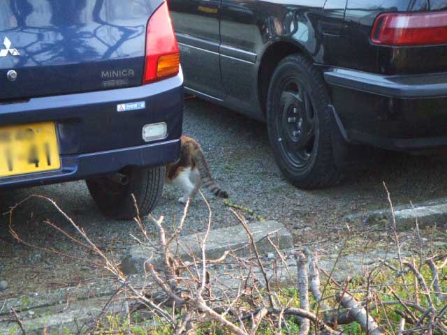 �B��Ȃ���I