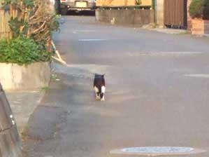 �����I�@�����I