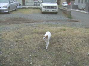 �ف`���@�������ՁI