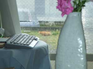 ���A���@�������͂�ɂ���񂾂�I