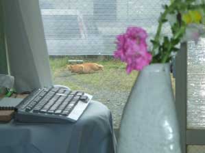 ����Ȏ�����Ȃ��ł�I�@�^���Ȃ񂾂��炳�I