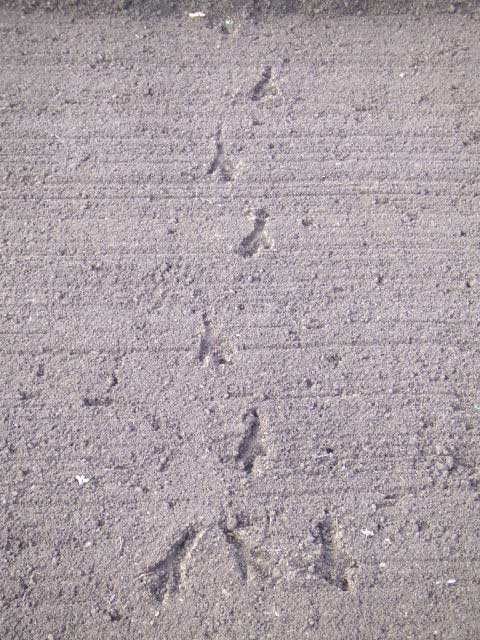 �e�P�@�e�P�@�e�P�I