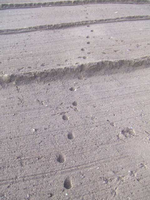 �e�P�@�e�P�@�e�P�I