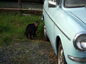 ���W���I