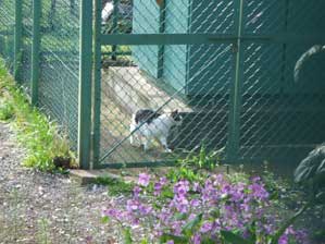 �o���͂ǂ����������ȁ`